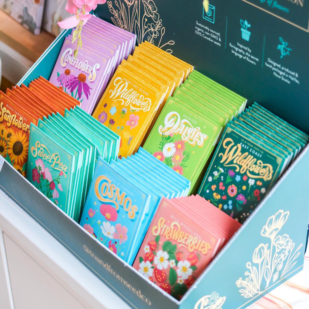 Wild Pink Marsh Rose (Protection) Seed Packet