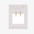 Gold hoop earrings on a 'Everyday Edit' card with 'Foxy Originals' branding.