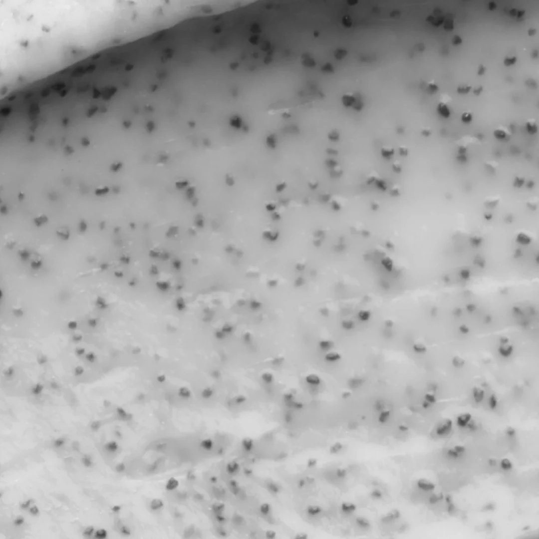 A close up on The Exfoliating Body Wash Concentrate.