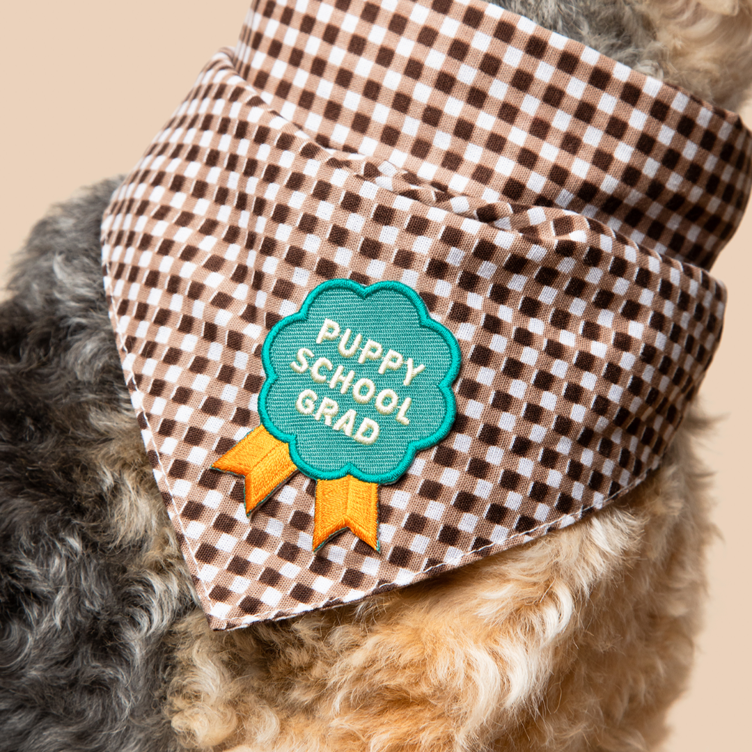 Dog wearing a brown checkered bandana with a 'Puppy School Grad' patch on a beige background