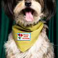Dog wearing a green bandana with a humorous message on a dark background